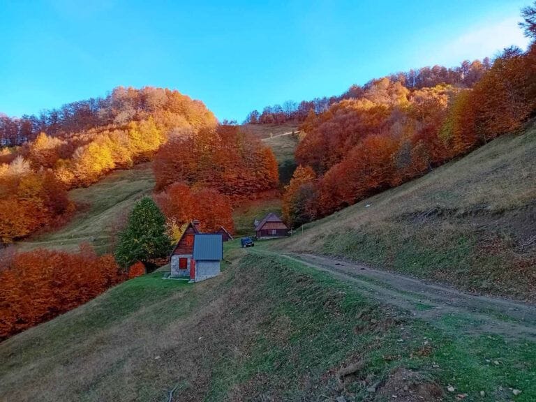 Катун Ропушница