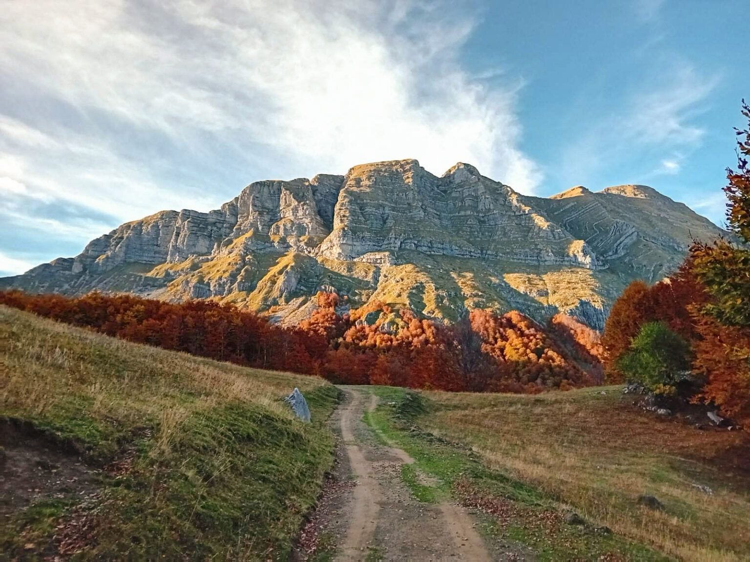 Катун Ропушница