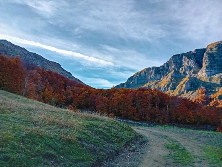 Катун Ропушница