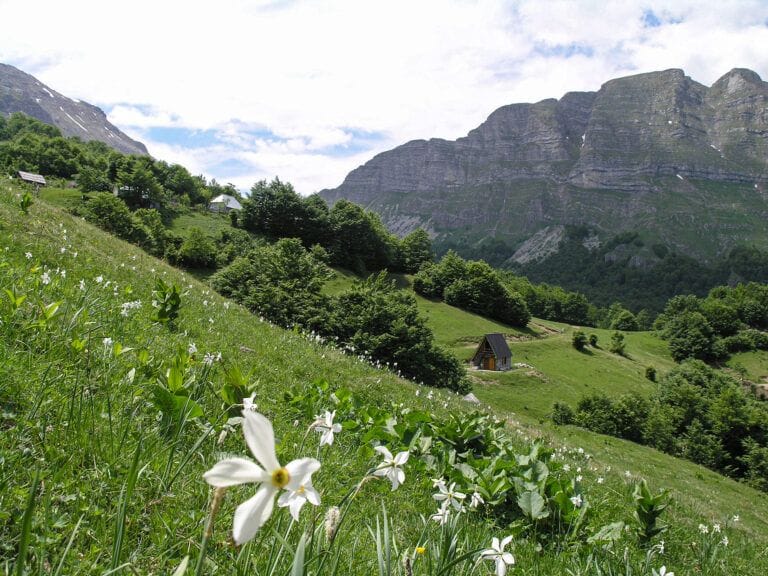Катун Ропушница крајем маја кад се све забијели од докољене